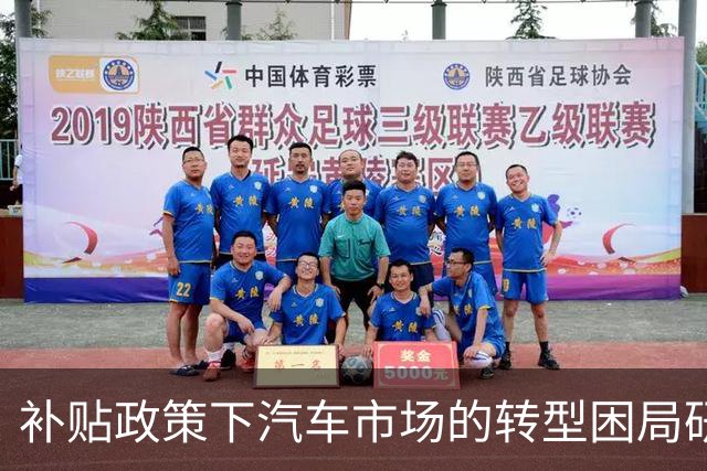 补贴政策下汽车市场的转型困局研究